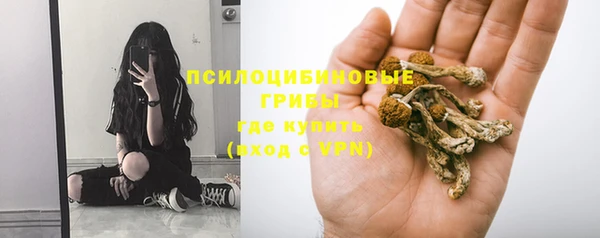 сатива Липки