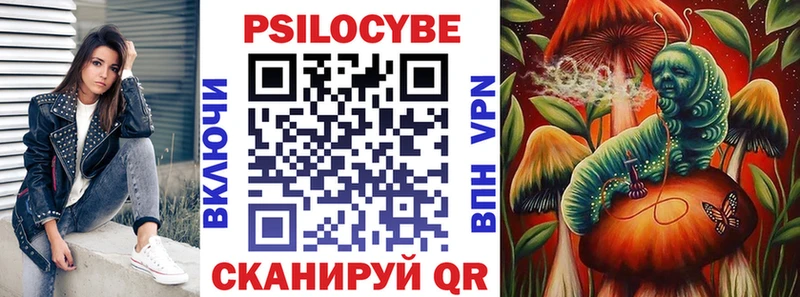 Псилоцибиновые грибы ЛСД  Каменногорск 